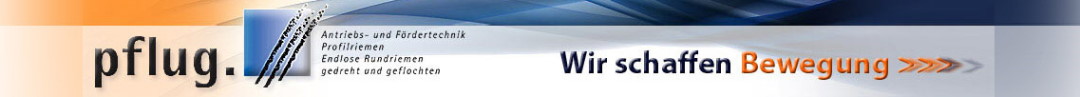 SEILEREI PFLUG
